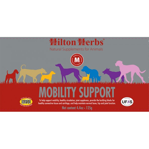 Mobility Support für Hunde image
